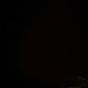 Meet your Posher, Maddie